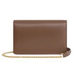 CELINE WALLET ON CHAIN MARGO IN SHINY CALFSKIN GLAZED BROWN