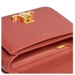 CELINE TEEN TRIOMPHE BAG IN SHINY CALFSKIN RED CANYON