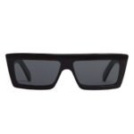 CELINE MONOCHROMS 02 SUNGLASSES IN ACETATE WHITE