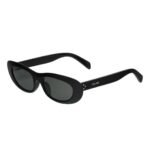 CELINE CAT EYE S310 SUNGLASSES IN ACETATE BLACK