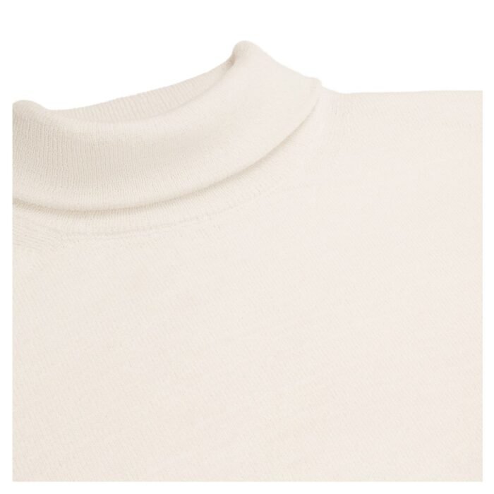 CELINE TURTLENECK SWEATER IN FINE WOOL