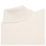 CELINE TRIOMPHE TURTLENECK SWEATER IN RIBBED WOOL