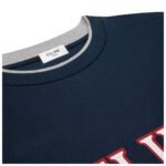 CELINE LOOSE T SHIRT IN COTTON JERSEY