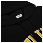 CELINE LOOSE HOODIE IN COTTON FLEECE