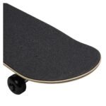 CELINE SKATEBOARD IN TEXTURED SNAKE AND CELINE PRINT