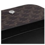 CELINE SMALL CROSSBODY BAG TRIOMPHE IN TRIOMPHE CANVAS AND CALFSKIN
