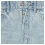 CELINE WESLEY SHORTS IN HORIZON WASH DENIM