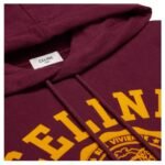 CELINE BLASON HOOODIE IN COTTON FLEECE