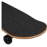 CELINE SKATEBOARD IN TEXTURED TIGER AND CELINE PRINT