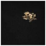 CELINE BLASON POLO SHIRT IN STRIPED JERSEY